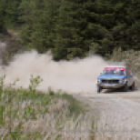 Severn Valley Stages - Crychan Forest - May 2015